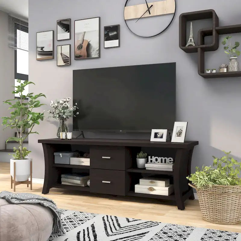 Contemporary 2-Drawer TV Stand with Open Shelving