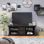 Contemporary 2-Drawer TV Stand with Open Shelving