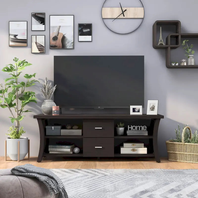 Contemporary 2-Drawer TV Stand with Open Shelving