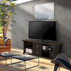 Contemporary 2-Drawer TV Stand with Open Shelving