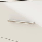 Electric Standing Desk with Storage Cabinet, 63 x 31.5