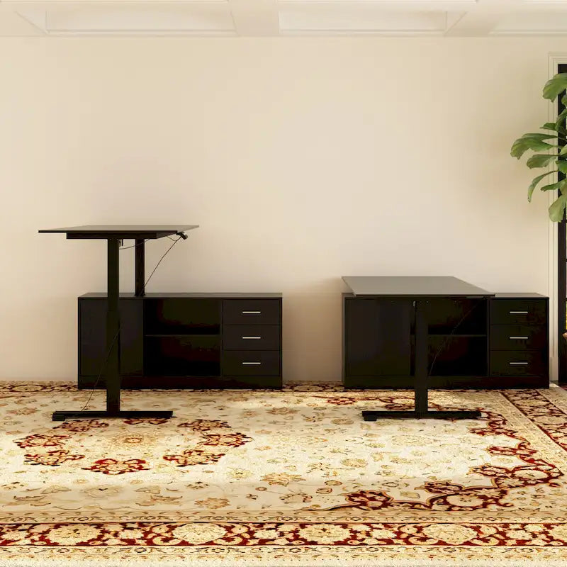 Electric Standing Desk with Storage Cabinet, 63 x 31.5