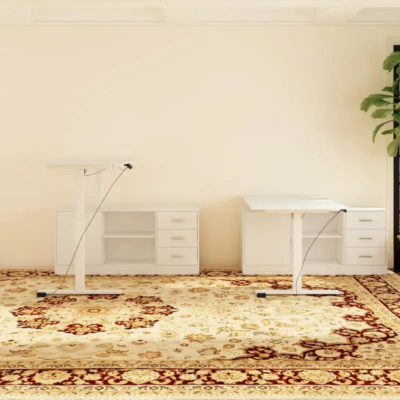 Electric Standing Desk with Storage Cabinet, 63 x 31.5